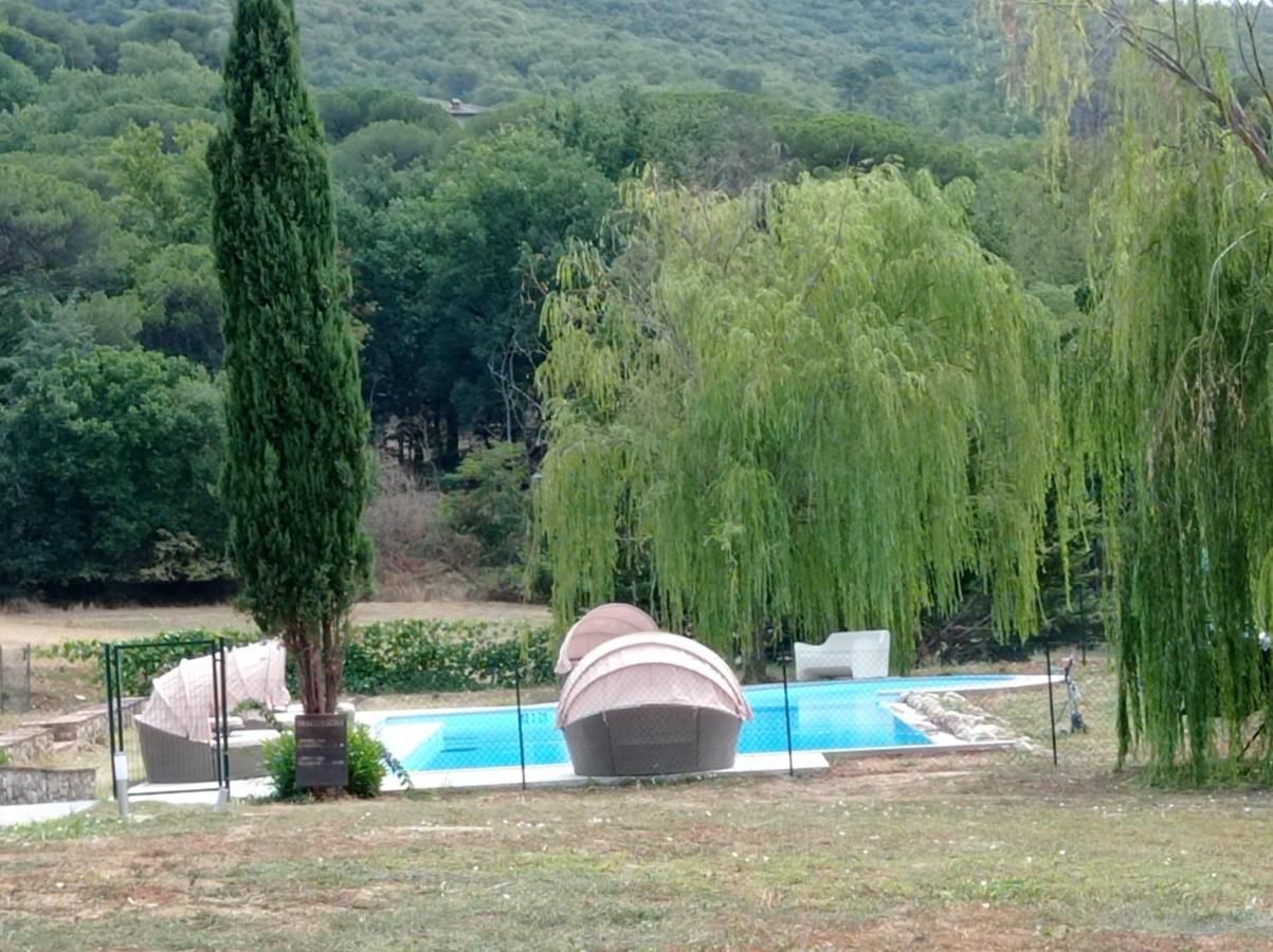 I Salici Agriturismo Badia Agnano Ngoại thất bức ảnh