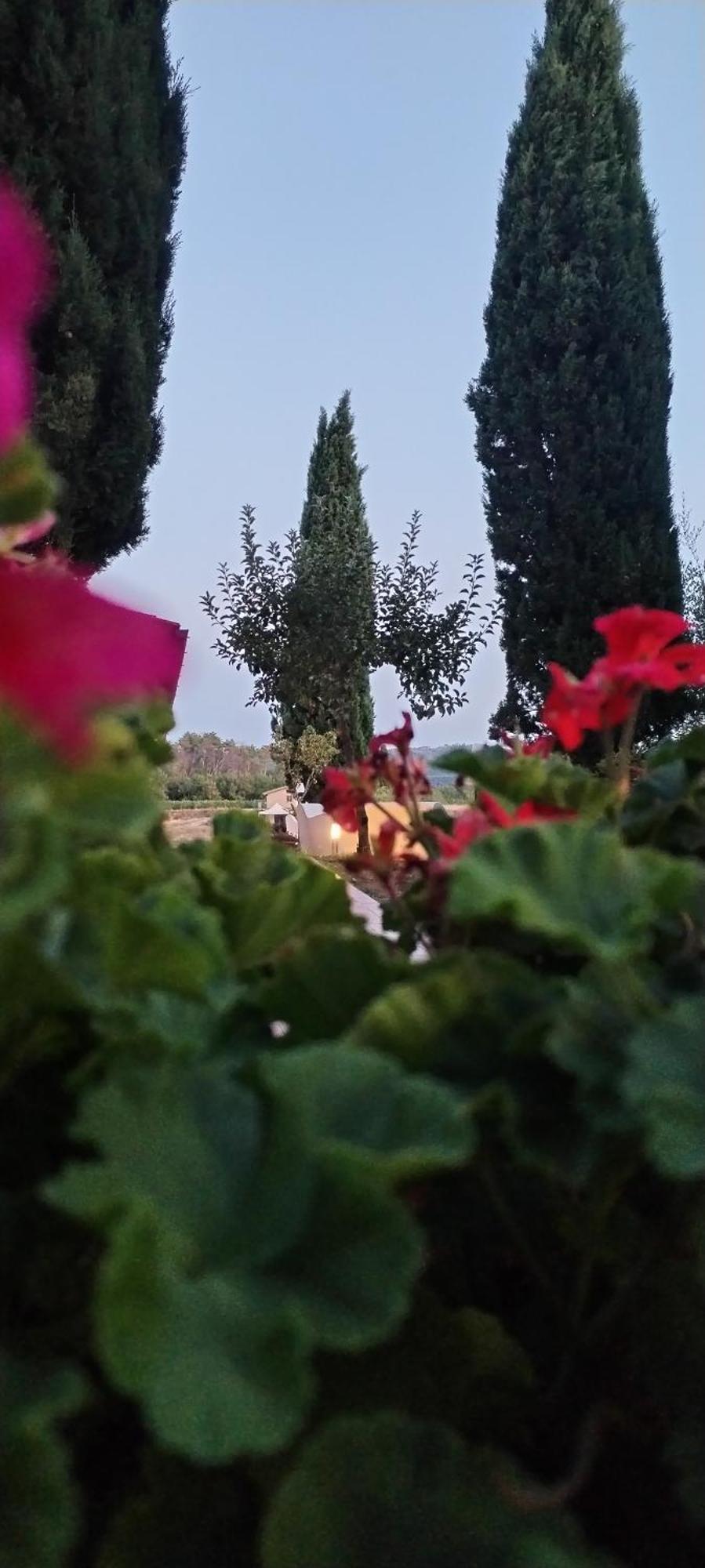 I Salici Agriturismo Badia Agnano Ngoại thất bức ảnh