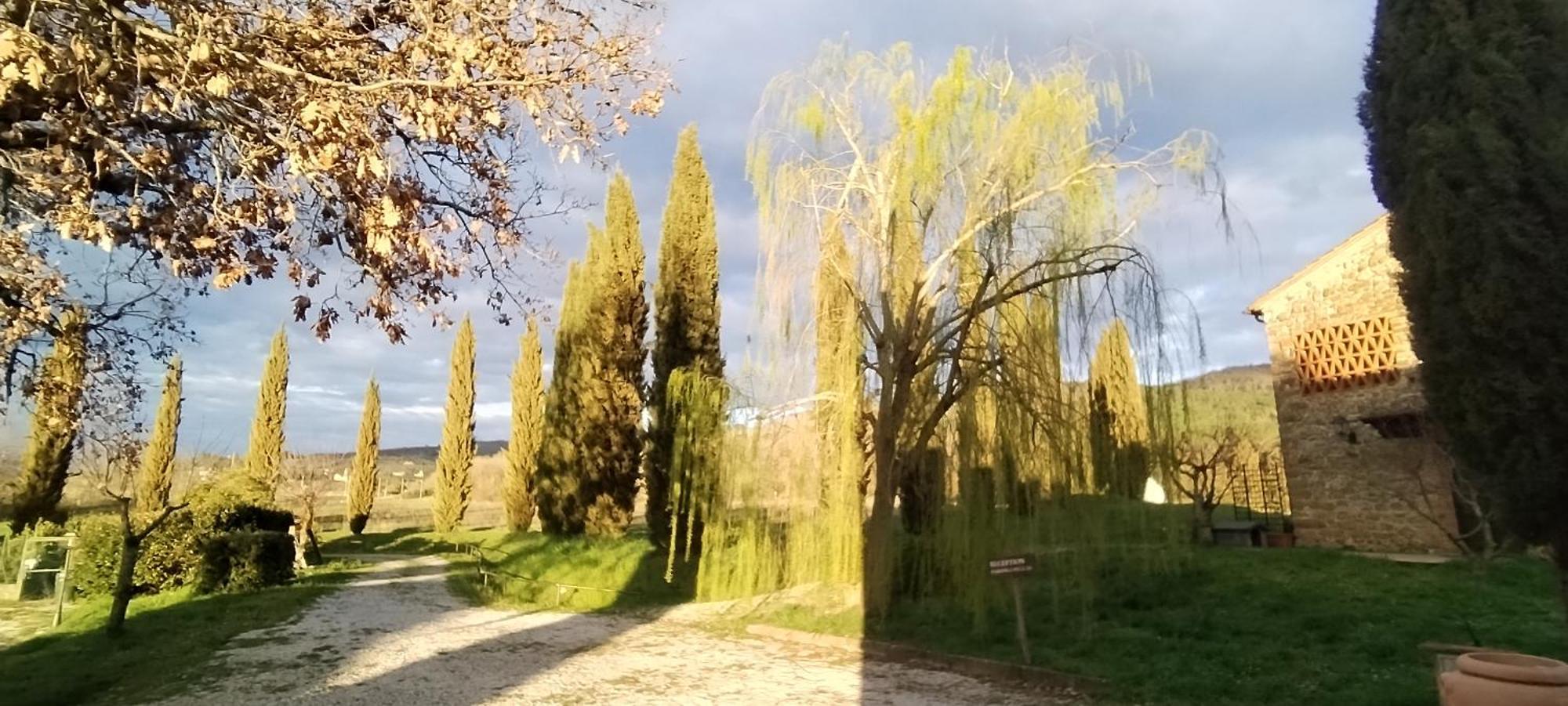 I Salici Agriturismo Badia Agnano Ngoại thất bức ảnh